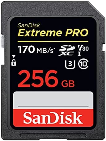 Cartão SanDisk 256GB Extreme PRO SDXC UHS-I - C10, U3, V30, 4K UHD, cartão SD - SDSDXXY-256G-GN4IN